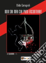 Non sai mai chi puoi incontrare. E-book. Formato EPUB ebook