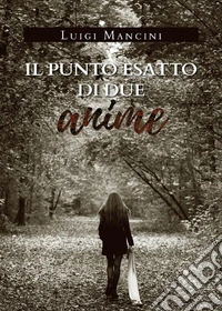 Il punto esatto di due anime. E-book. Formato EPUB ebook