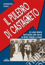 Il Puledro di Castagneto. E-book. Formato EPUB ebook