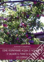 Come risparmiare acqua (e non solo) e salvare il pianeta secondo Gelsomino. E-book. Formato EPUB ebook