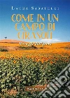Come in un campo di girasoli. E-book. Formato EPUB ebook di Laura Sabatelli