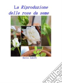 La riproduzione delle rose da seme. E-book. Formato EPUB ebook di Enrico Indolfi