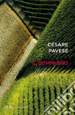 Il compagno. E-book. Formato EPUB ebook