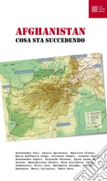 Afghanistan. Cosa sta succedendo ebook di Ceci A. (cur.)