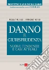 Danno e giurisprudenza. Nuove tendenze e casi attuali. E-book. Formato PDF ebook di Paolo Russo