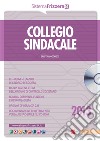 Collegio sindacale 2013. E-book. Formato PDF ebook