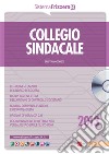 Collegio sindacale 2013. E-book. Formato PDF ebook di Odorizzi