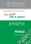 Come scrivere atti e pareri. Dall'esame di abilitazione alle prime attività di studio. Penale. E-book. Formato PDF ebook di Ruggieri F. (cur.)