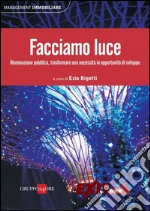 Facciamo luce. Illuminazione pubblica, trasformare una necessità in opportunità di sviluppo. E-book. Formato PDF