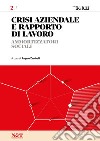 CRISI AZIENDALE E RAPPORTO DI LAVORO 2 - Ammortizzatori sociali. E-book. Formato PDF ebook di Angelo Zambelli