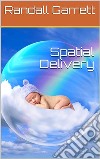 Spatial Delivery. E-book. Formato PDF ebook di Randall Garrett