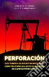 Perforación con tubería de revestimiento en la construcción del hoyo superficial en campos petroleros. E-book. Formato Mobipocket ebook