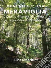 Ogni vita è una meravigliaCronaca e riflessioni di un incidente imprevisto e straordinario. E-book. Formato EPUB ebook