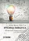 Efficienza Energetica. Ottimizzazione tecnico economica delle utenze elettriche. E-book. Formato PDF ebook