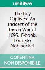 The Boy Captives: An Incident of the Indian War of 1695. E-book. Formato PDF