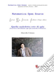 Quella maledetta rete di spin : Una breve introduzione agli spin networks di Penrose. E-book. Formato PDF ebook di Marcello Colozzo