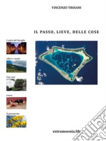 Il passo, lieve, delle cose. E-book. Formato PDF ebook di Vincenzo Troiani