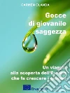 Gocce di giovanile saggezza: Un viaggio alla scoperta dell'Europa che fa crescere i giovani, con Erasmus+. E-book. Formato EPUB ebook