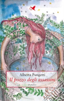 Il pozzo degli assassini. E-book. Formato EPUB ebook di Alberta Pungetti