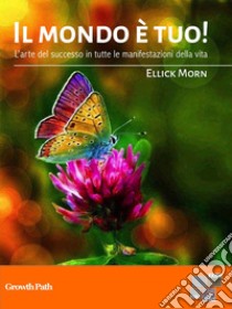 Il mondo è tuo!Come avere successo nella vita. E-book. Formato EPUB ebook di Ellick Morn