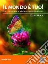 Il mondo è tuo!Come avere successo nella vita. E-book. Formato EPUB ebook di Ellick Morn