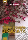 Terra d'ombra bruciata. E-book. Formato EPUB ebook di Valentina Nuccio