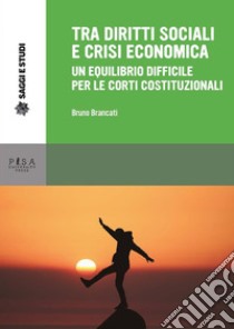 Tra diritti sociali e crisi economica: un equilibrio difficile per le corti costituzionali. E-book. Formato PDF ebook di Bruno Brancati