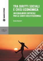 Tra diritti sociali e crisi economica: un equilibrio difficile per le corti costituzionali. E-book. Formato PDF ebook