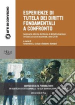 Esperienze di tutela dei diritti fondamentali a confronto: Seminario interno del Corso di Alta formazione in Giustizia Costituzionale - Anno 2018. E-book. Formato PDF ebook