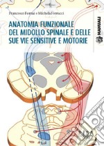 Anatomia funzionale del midollo spinale e delle sue vie sensitive e motorie. E-book. Formato PDF ebook