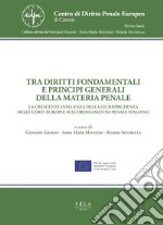 Tra diritti fondamentali e principi generali della materia penaleLa crescente influenza della giurisprudenza delle corti europee sull&apos;ordinamento penale italiano. E-book. Formato PDF