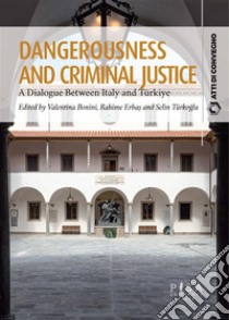 Dangerousness and Criminal JusticeDialogue Between Italy and Türkiye. E-book. Formato PDF ebook di Valentina Bonini