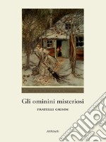 Gli omini misteriosi. E-book. Formato EPUB ebook