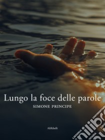 Lungo la foce delle parole. E-book. Formato EPUB ebook di Simone Principe