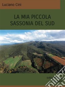 La mia piccola Sassonia del Sud. E-book. Formato EPUB ebook di Luciano Cini