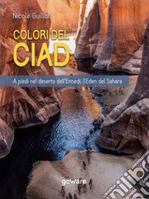 Colori del Ciad. A piedi nel deserto dell’Ennedi, l’Eden del Sahara. E-book. Formato EPUB ebook di Nicole Guillon