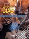 Colori del Ciad. A piedi nel deserto dell’Ennedi, l’Eden del Sahara. E-book. Formato EPUB ebook di Nicole Guillon