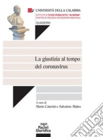 La giustizia al tempo del coronavirus. E-book. Formato Mobipocket ebook di Salvatore Muleo