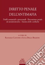 Diritto penale dell'antimafiaProfili  sostanziali e processuali - Prevenzione penale ed amministrativa - Sistema delle confische. E-book. Formato EPUB ebook