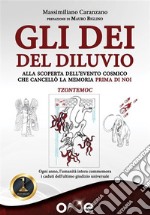 Gli dei del DiluvioAlla scoperta dell’evento cosmico che cancellò la memoria PRIMA DI NOI. E-book. Formato EPUB