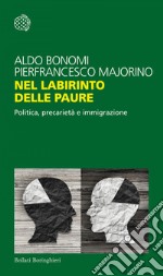 Nel labirinto delle paure: Politica, precarietà e immigrazione. E-book. Formato EPUB ebook