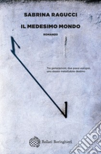 Il medesimo mondo. E-book. Formato PDF ebook di Sabrina Ragucci