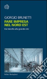 Fare impresa nel Nord Est: Dal decollo alla grande crisi. E-book. Formato EPUB ebook