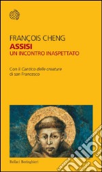 Assisi: Un incontro inaspettato. E-book. Formato EPUB