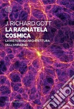 La ragnatela cosmica: La misteriosa architettura dell'Universo. E-book. Formato EPUB