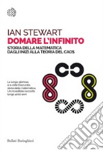 Domare l'infinito: Storia della matematica dagli inizi alla teoria del caos. E-book. Formato EPUB ebook