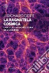 La ragnatela cosmica: La misteriosa architettura dell'Universo. E-book. Formato PDF ebook