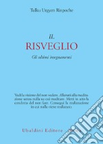 Il risveglio: Gli ultimi insegnamenti. E-book. Formato EPUB