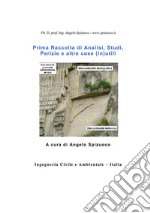 Prima Raccolta di Analisi, Studi, Perizie e altre cose (in)utili. E-book. Formato PDF ebook