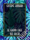 Le Grand Chef des Aucas. E-book. Formato EPUB ebook